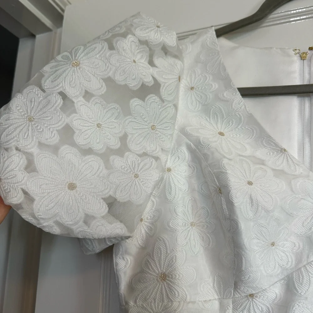Lilly Pulitzer Citra Organza Dress - Picture 5 of 12